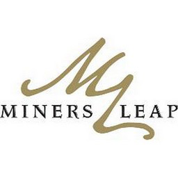 Miners Leap